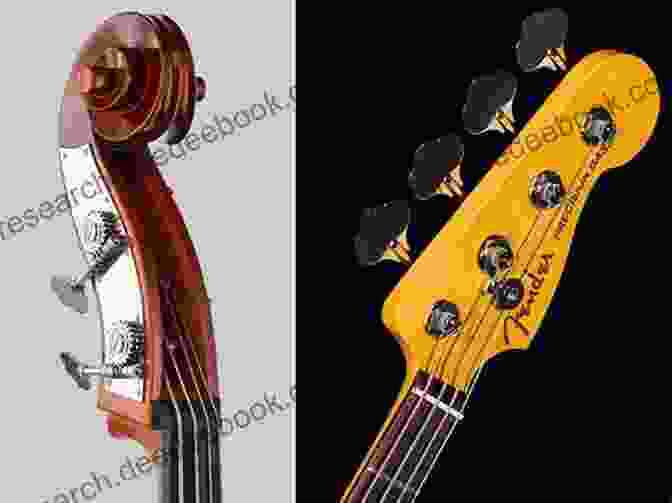 A Diagram Showcasing The Evolution Of Bass Guitar Designs, From The Early Upright Bass To Modern Solid Body Electric Models. The Quest For The Melodic Electric Bass: From Jamerson To Spenner (Ashgate Popular And Folk Music Series)