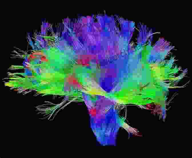 Diffusion Tensor Imaging (DTI) Scan Brain Mapping: Indications And Techniques
