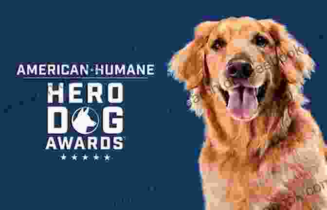 George The Hero Hound Receiving The ASPCA Humane Hero Dog Award George The Hero Hound Jeffrey Ebbeler