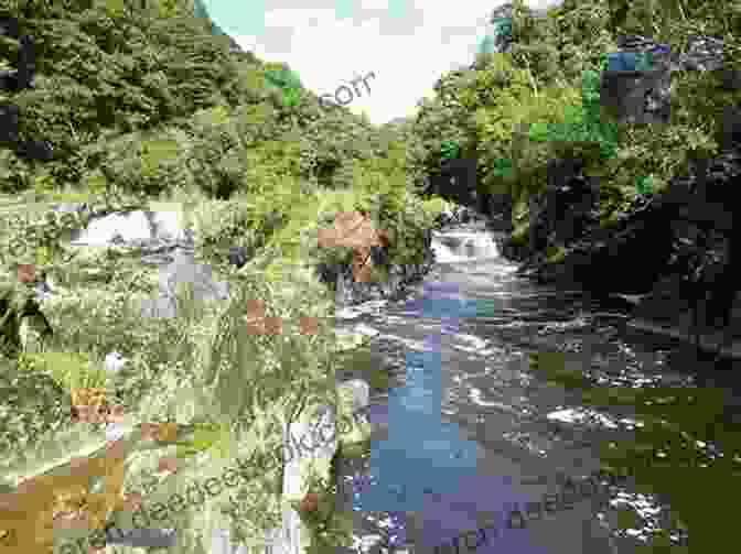 Pencader Waterfall, Carmarthenshire Walking In Carmarthenshire (Cicerone Walking Guides)