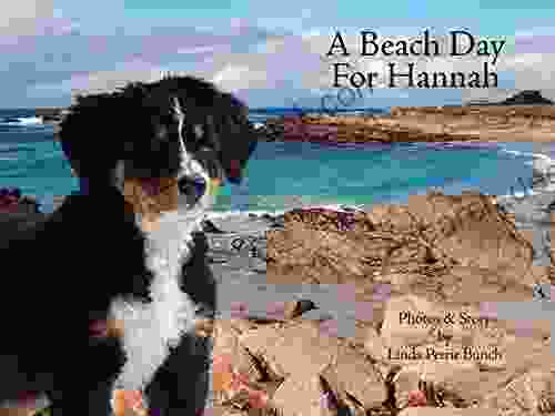 A Beach Day For Hannah (Mountain Dog 2)