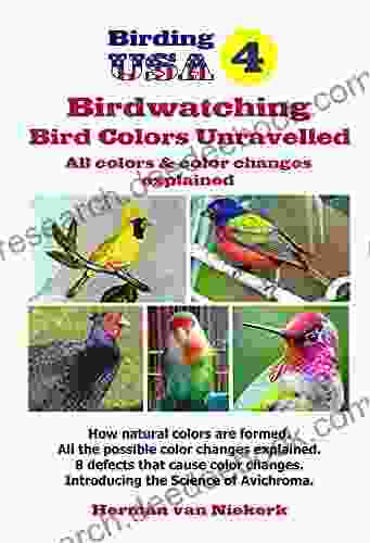 Bird Colors Unravelled: All Colors Color Changes Explained (Birding USA)
