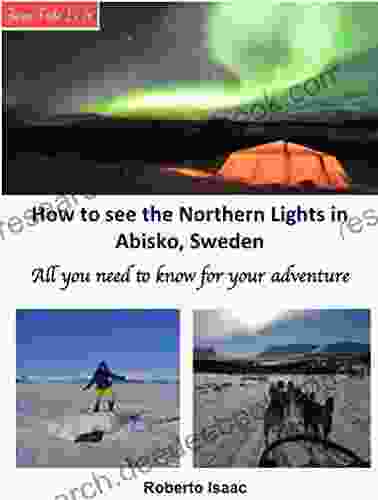 How To See The Northern Lights In Abisko Sweden: All You Need To Know For Your Adventure