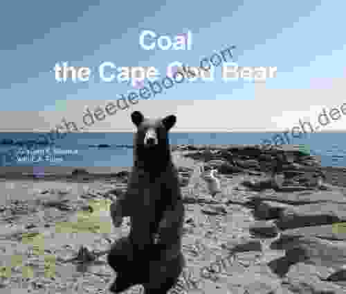 Coal The Cape Cod Bear