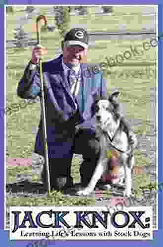 Jack Knox: Learning Life S Lessons With Stock Dogs