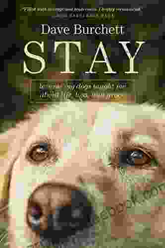 Stay: Lessons My Dogs Taught Me About Life Loss And Grace
