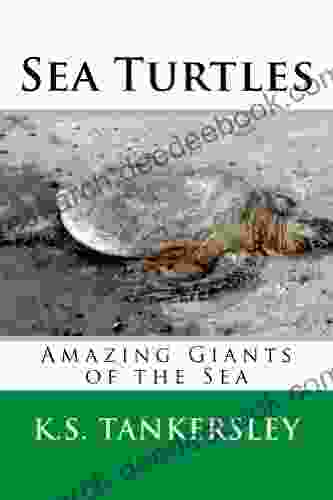 Sea Turtles (Exploring Nature 1)