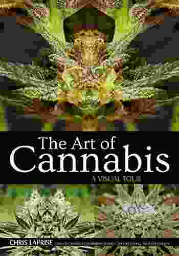 The Art Of Cannabis: A Visual Tour