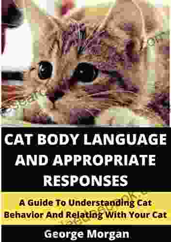 CAT BODY LANGUAGE AND APPROPRIATE RESPONSES : A GUIDE TO UNDERSTANDING CAT BEHAVIOR AND RELATING WITH YOUR CAT