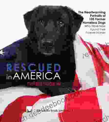 Rescued In America: The Heartwarming Stories Of 105 Former Homeless Dogs Who Have Now Found Their Forever Homes (The Photo Projects 2)