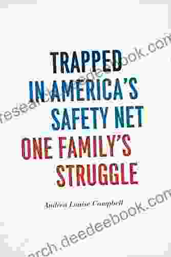 Trapped In America S Safety Net: One Family S Struggle (Chicago Studies In American Politics)