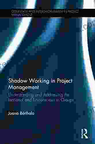Shadow Working In Project Management: Understanding And Addressing The Irrational And Unconscious In Groups (Complexity And Interdisciplinarity In Project Management)